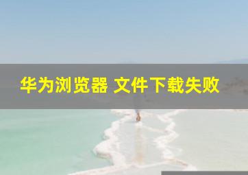 华为浏览器 文件下载失败